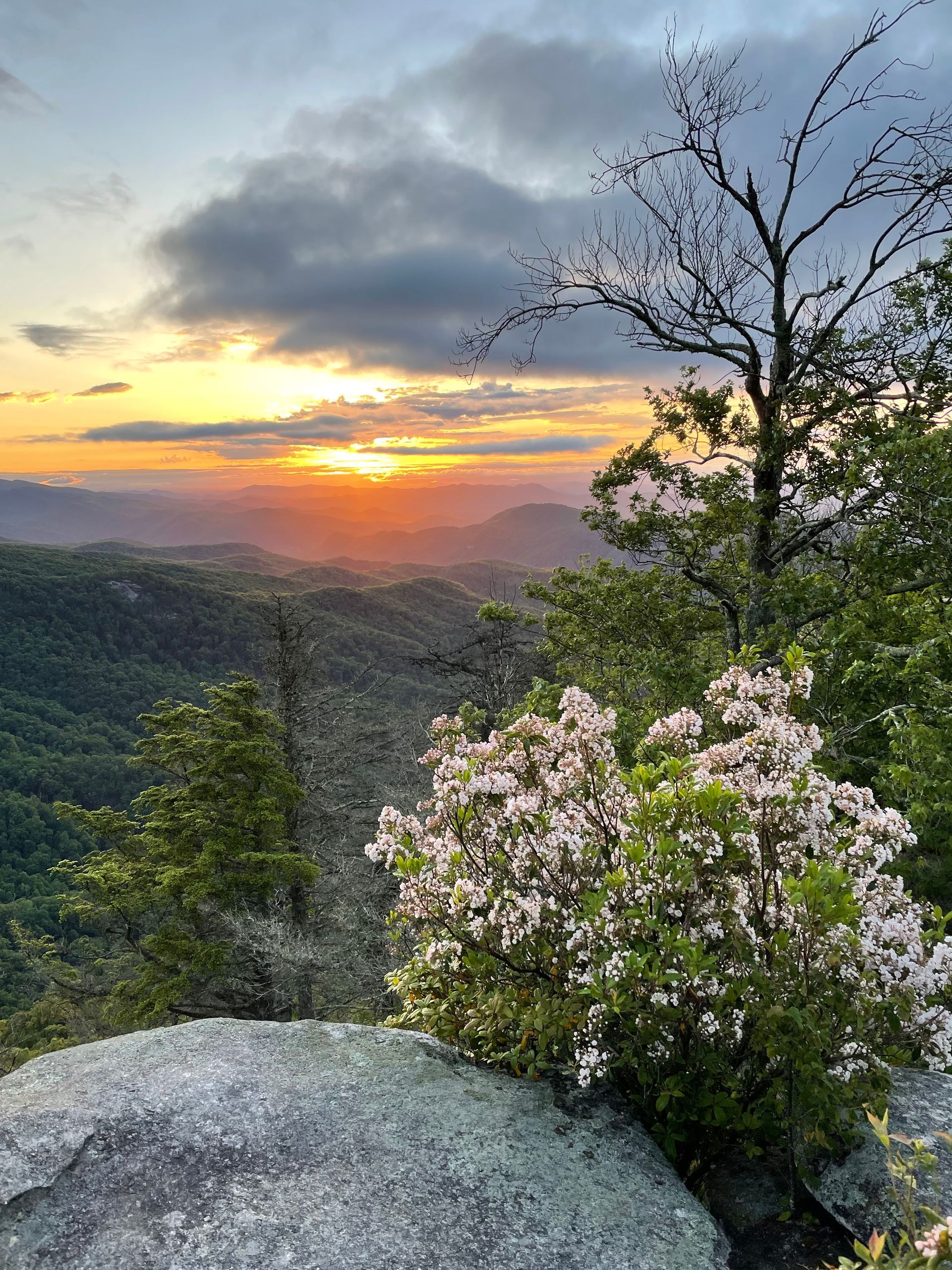 Crowe'S Mortuary & Chapel logo