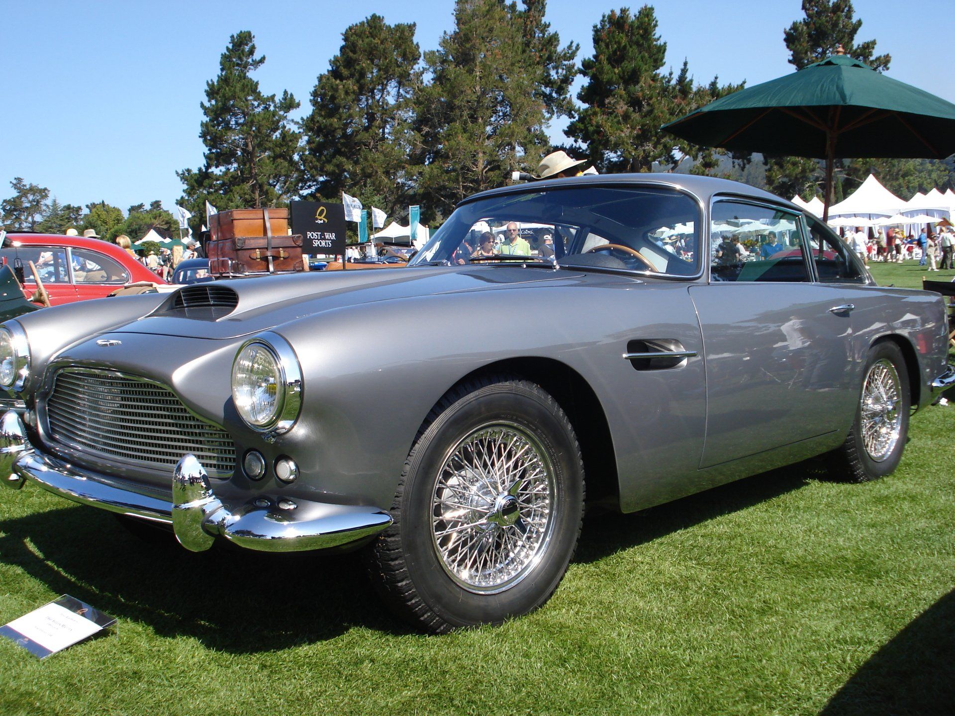 A gray car is parked in the grass under an umbrella