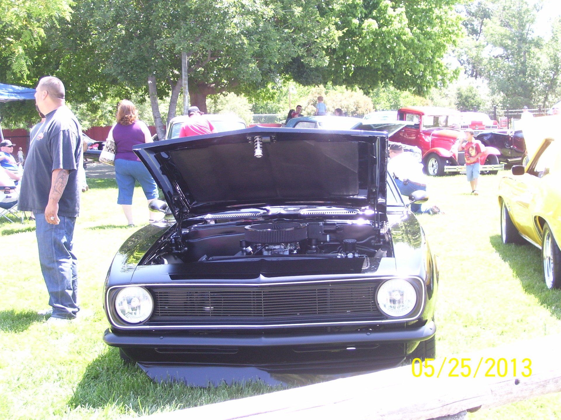 A black car with the hood up is parked in the grass
