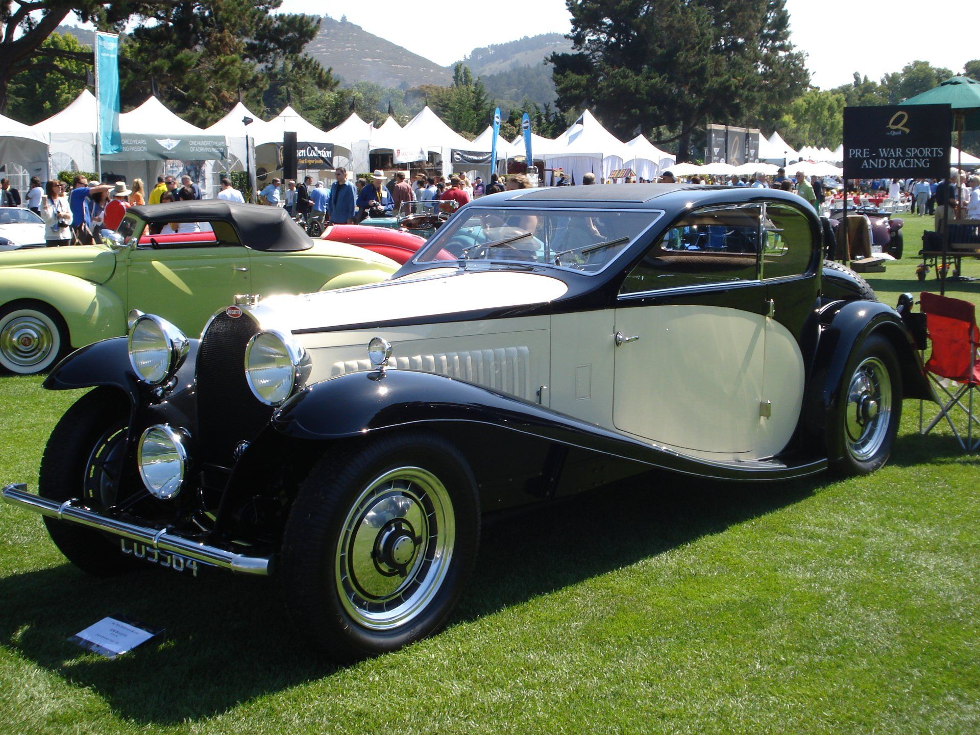 A black and white car is parked in the grass