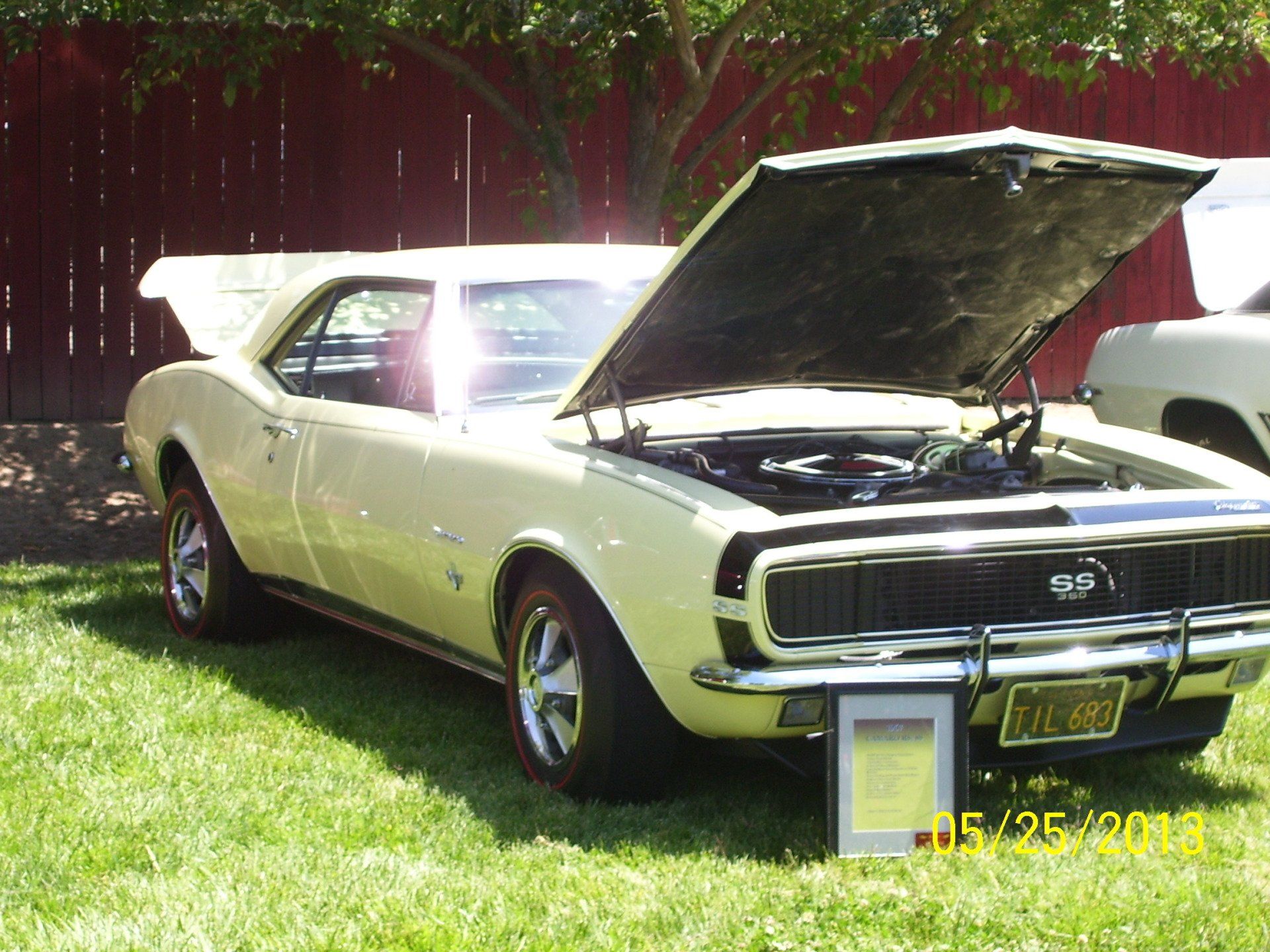 A white car with the hood up is parked in the grass