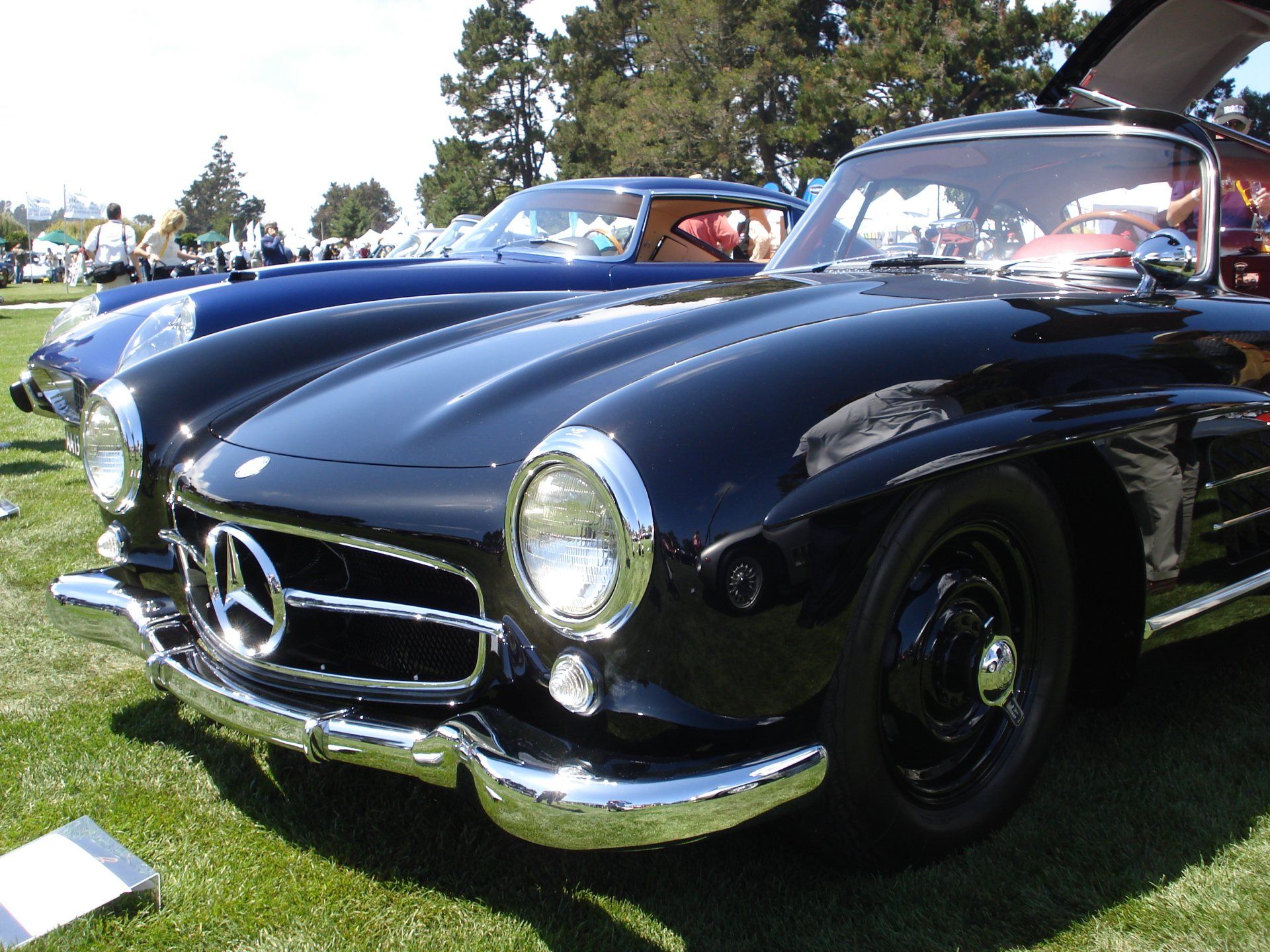 A black mercedes is parked in a grassy field