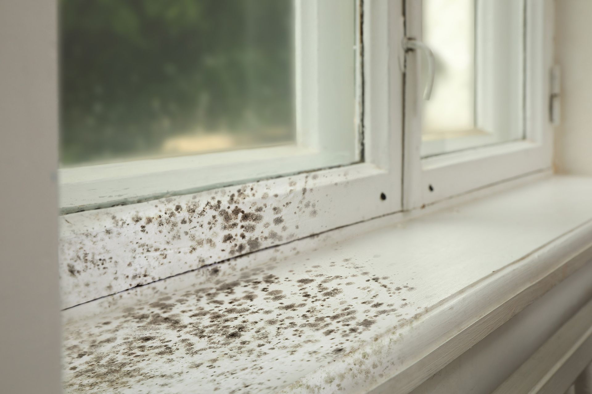 A window sill with a lot of black mold on it.