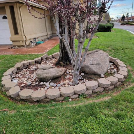 A tree with a rock-lined base in front of a house with a tan exterior, surrounded by grass.