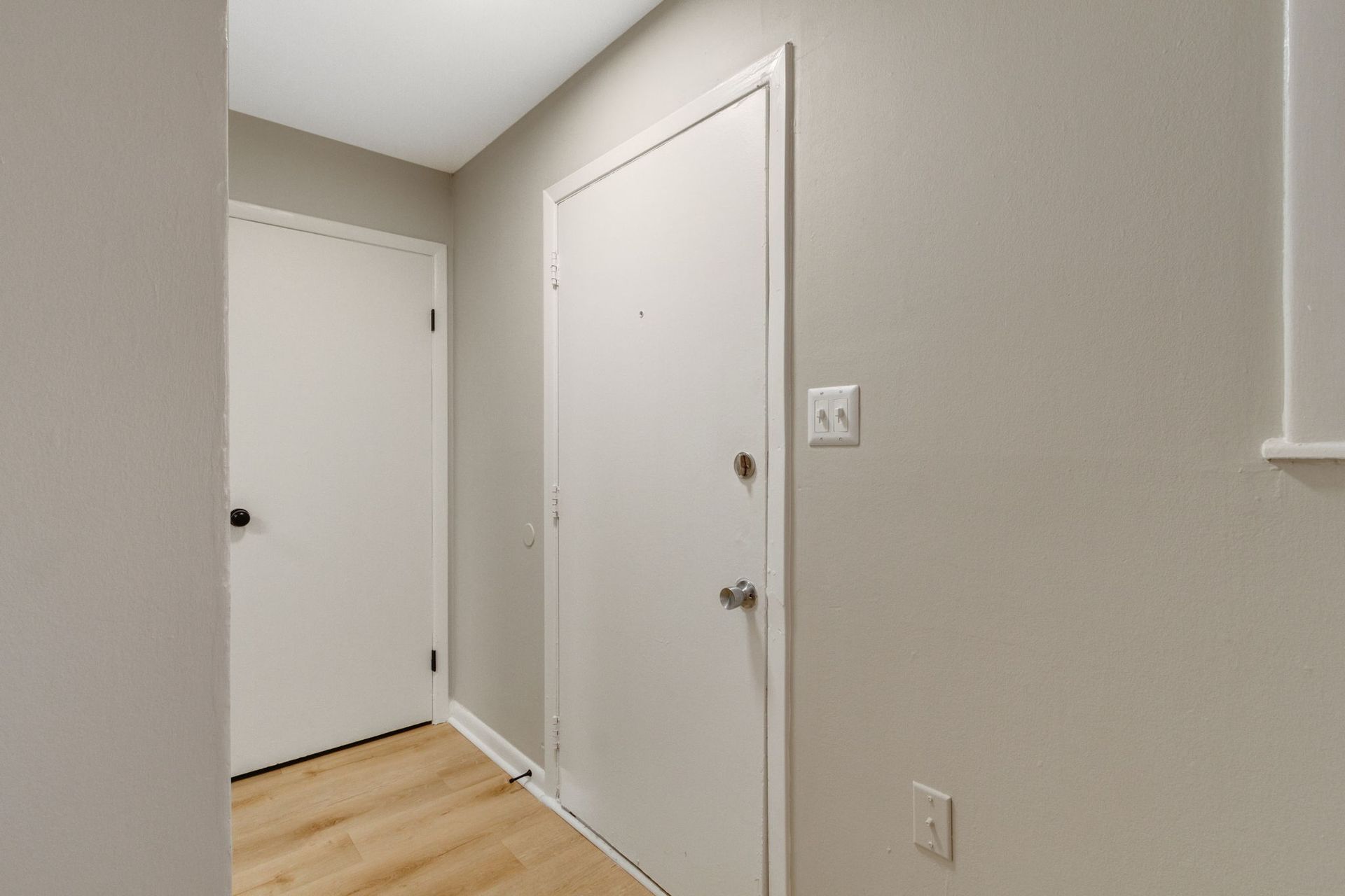 Hallway with two white doors, a light switch, and wood flooring.