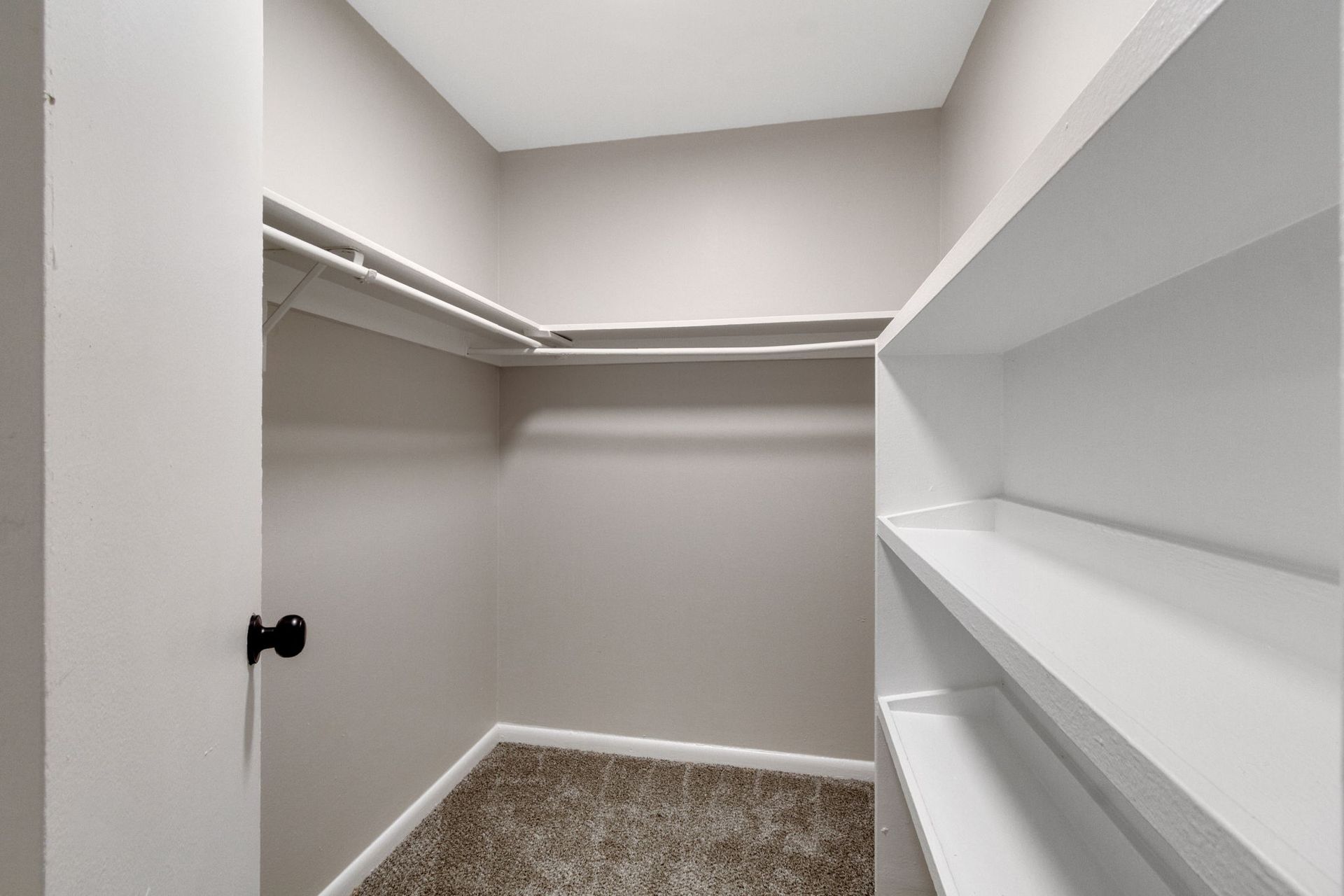 Empty walk-in closet with white shelving, a clothing rod, and neutral-colored walls and carpet.
