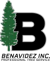 Logo for Benavidez Inc., a professional tree service, featuring a green tree next to a black 