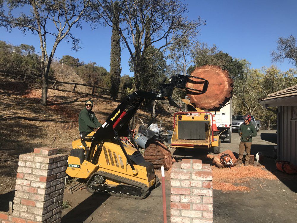 Two workers operating machinery to remove a large tree trunk. Yellow skid steer, wood chipper, and brick pillars.