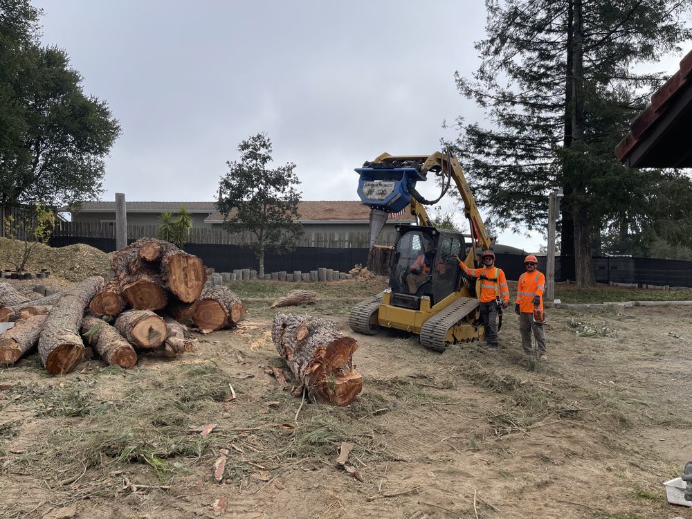 Two workers and a tree-cutting machine clearing logs in an outdoor setting.
