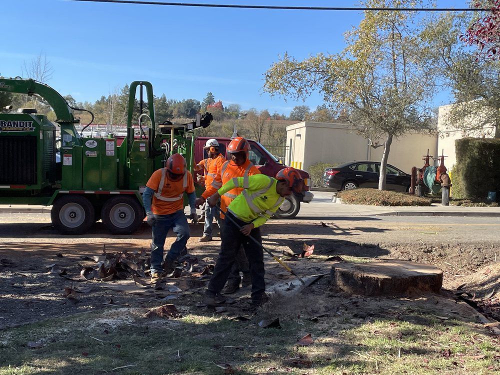 Tree removal crew working outdoors; a green wood chipper and orange safety vests are visible.