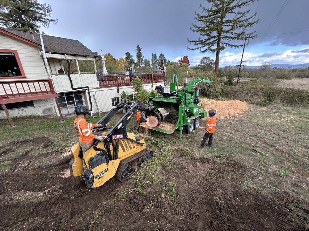 Two workers operating machinery, removing a tree stump near a house. Cloudy sky, brown dirt.