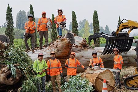 A tree service crew poses with a large felled tree. They wear orange vests and stand near machinery in a park-like setting.