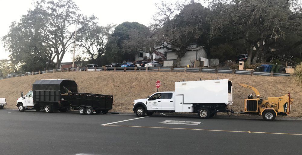 Trucks and chipper parked roadside, with a dump truck being loaded near a hill.