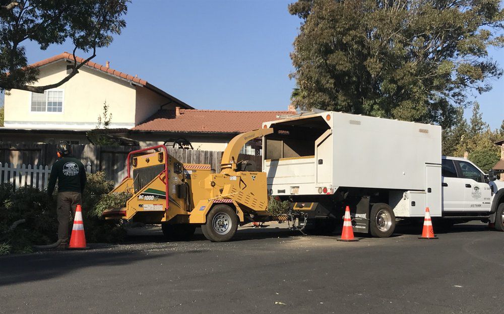 Truck and wood chipper on a street. A worker stands nearby. Cone barriers are set up.