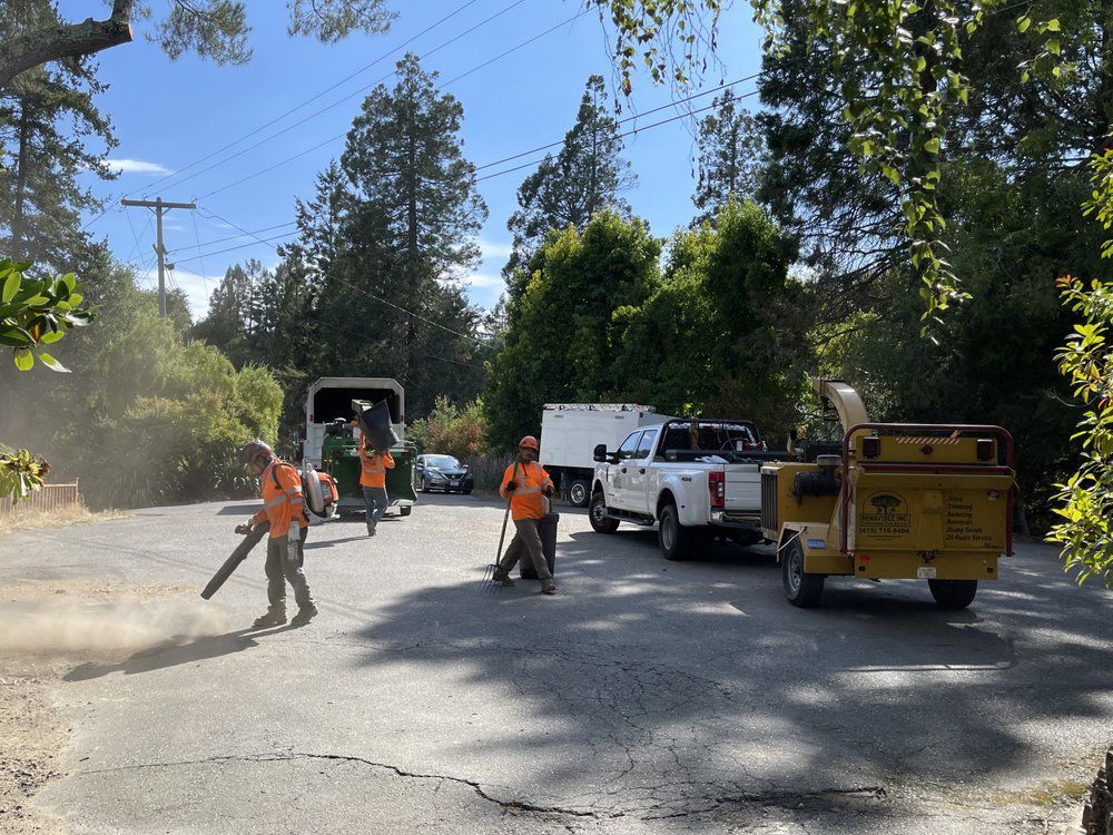 Tree service crew clearing debris from a paved driveway with blower, chipper, and trucks.