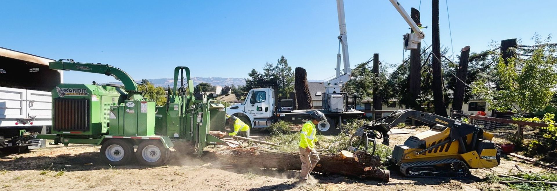 Tree removal crew using machinery like chippers and a lift truck to remove trees.