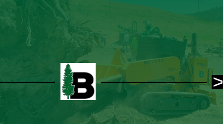 A man is cutting a tree with a chainsaw.