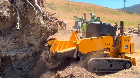A large yellow stump grinder pulverizes a tree stump, wood chips flying.