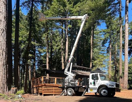 Truck with an extended lift trimming tree branches near a wooden house in a forest.