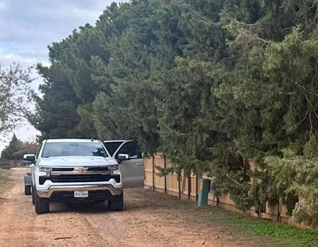 Silver pickup truck parked on a dirt road next to a wooden fence and line of tall green trees.