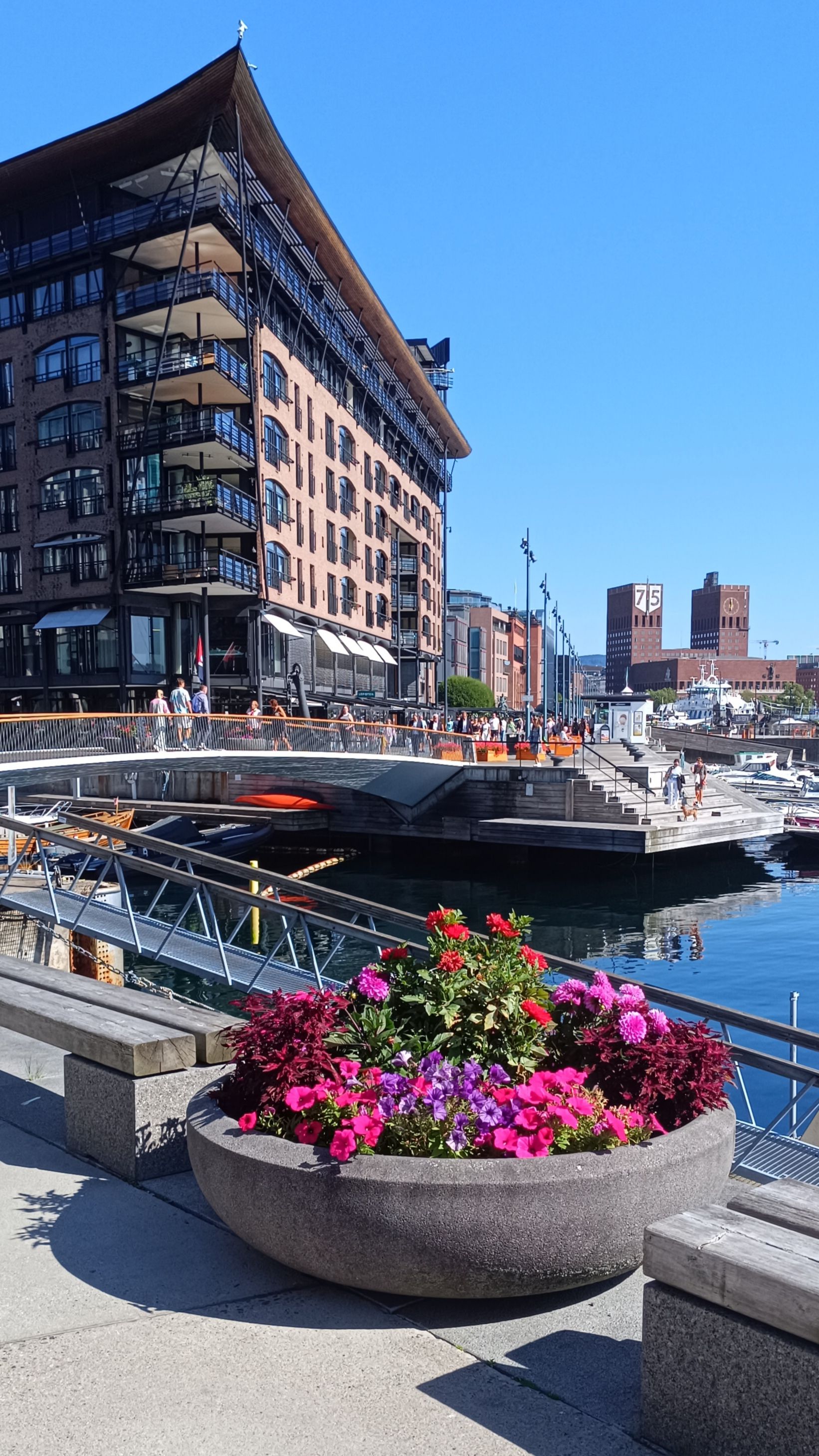 A fragment of Akerbrygge embankment with a flowerbed on the foreground, a sample of modern architecture of Thiuvholmen district and the image of Oslo City Hall in a distance on the background