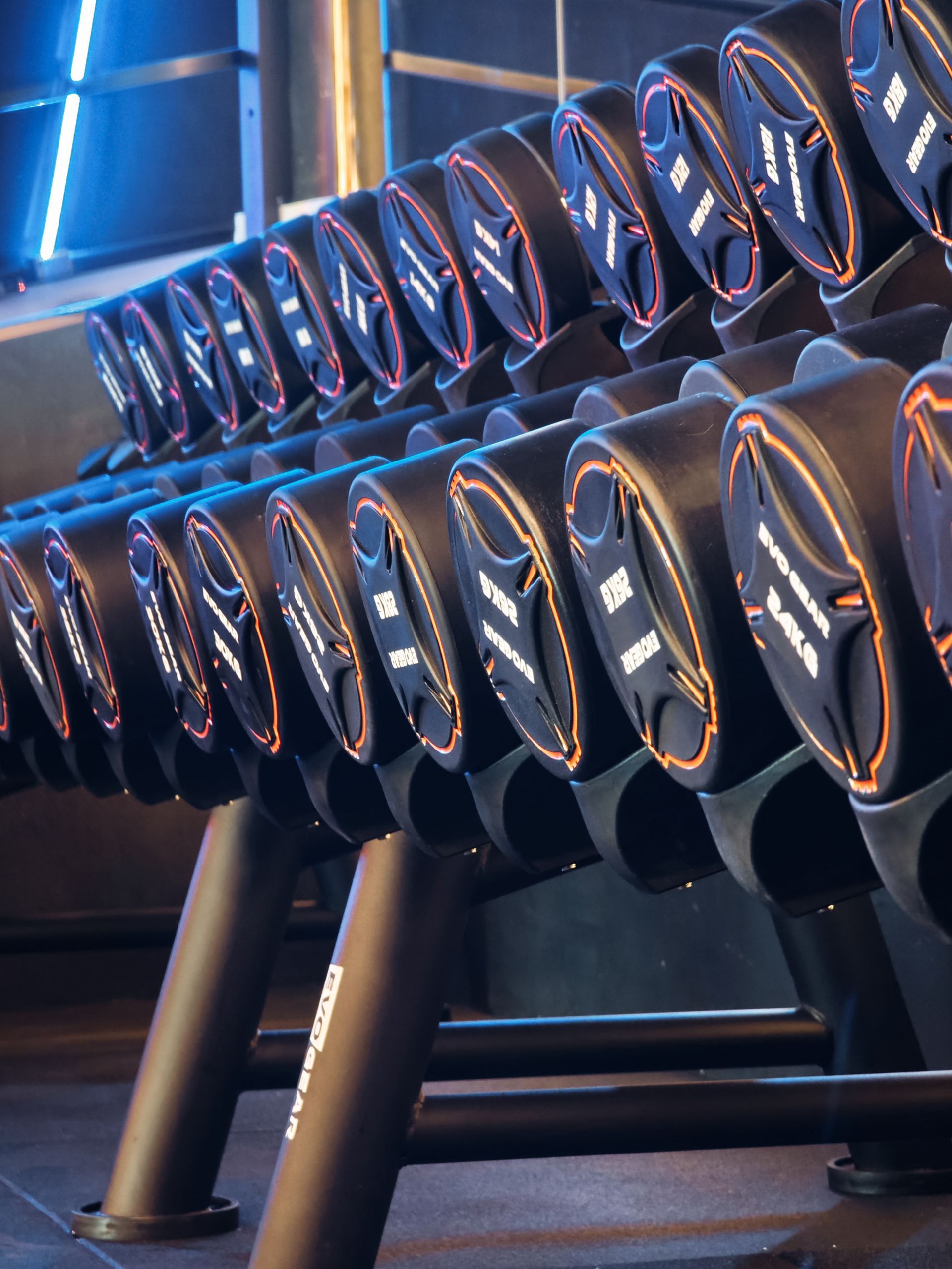 A row of dumbbells are lined up in a gym