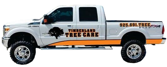 Timberland Tree Care pickup truck