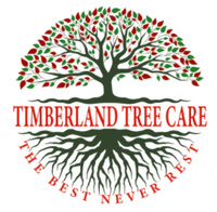 Timberland Tree Care logo