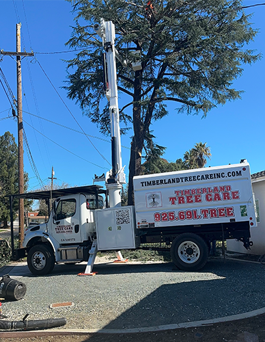 Timberland Tree Care Walnut Creek Boom truck