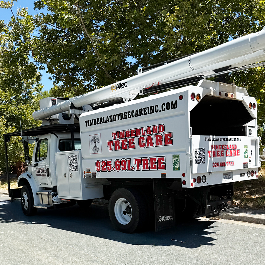 Timberland Tree Care Boom Truck