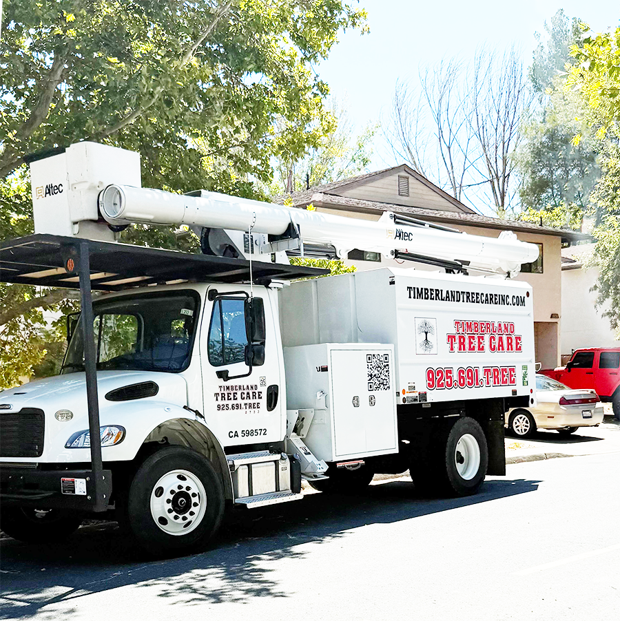 Timberland Tree Care boom truck