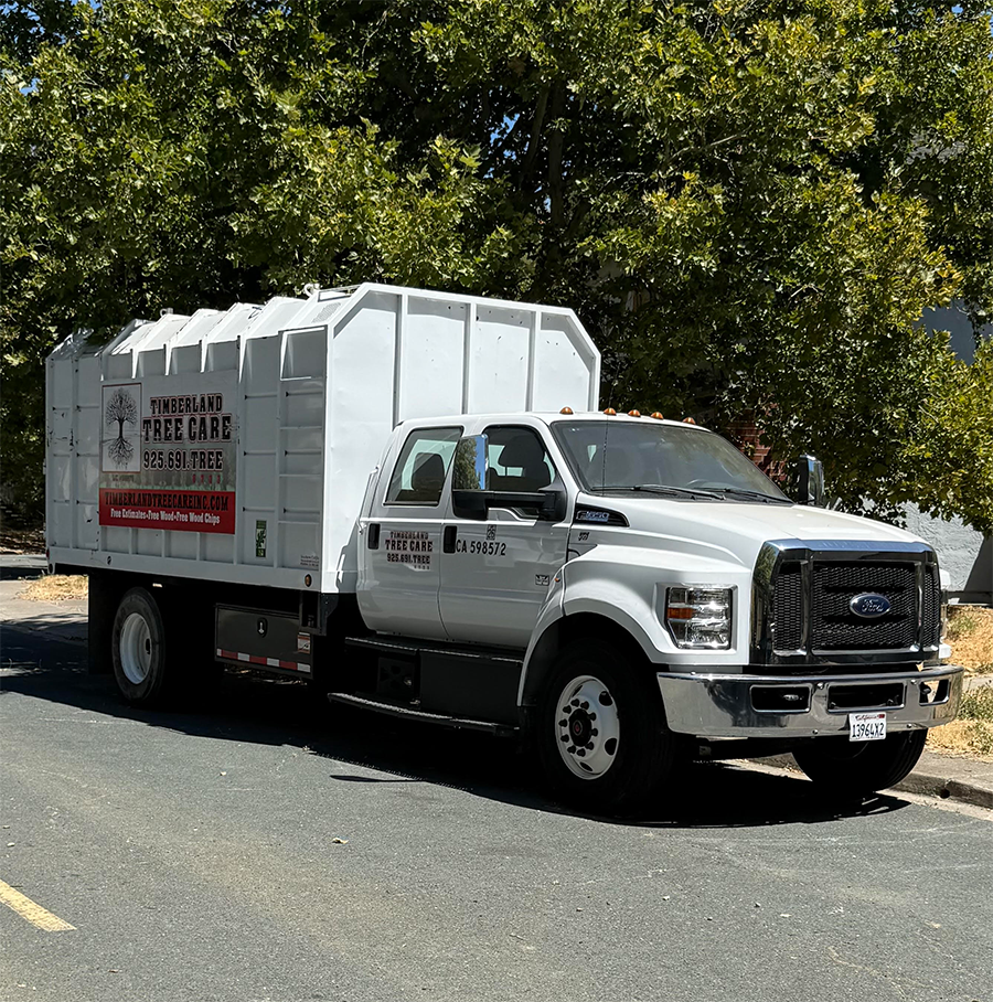 Timberland Tree Care truck