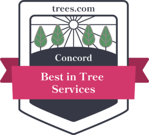 Timberland Tree Care award 