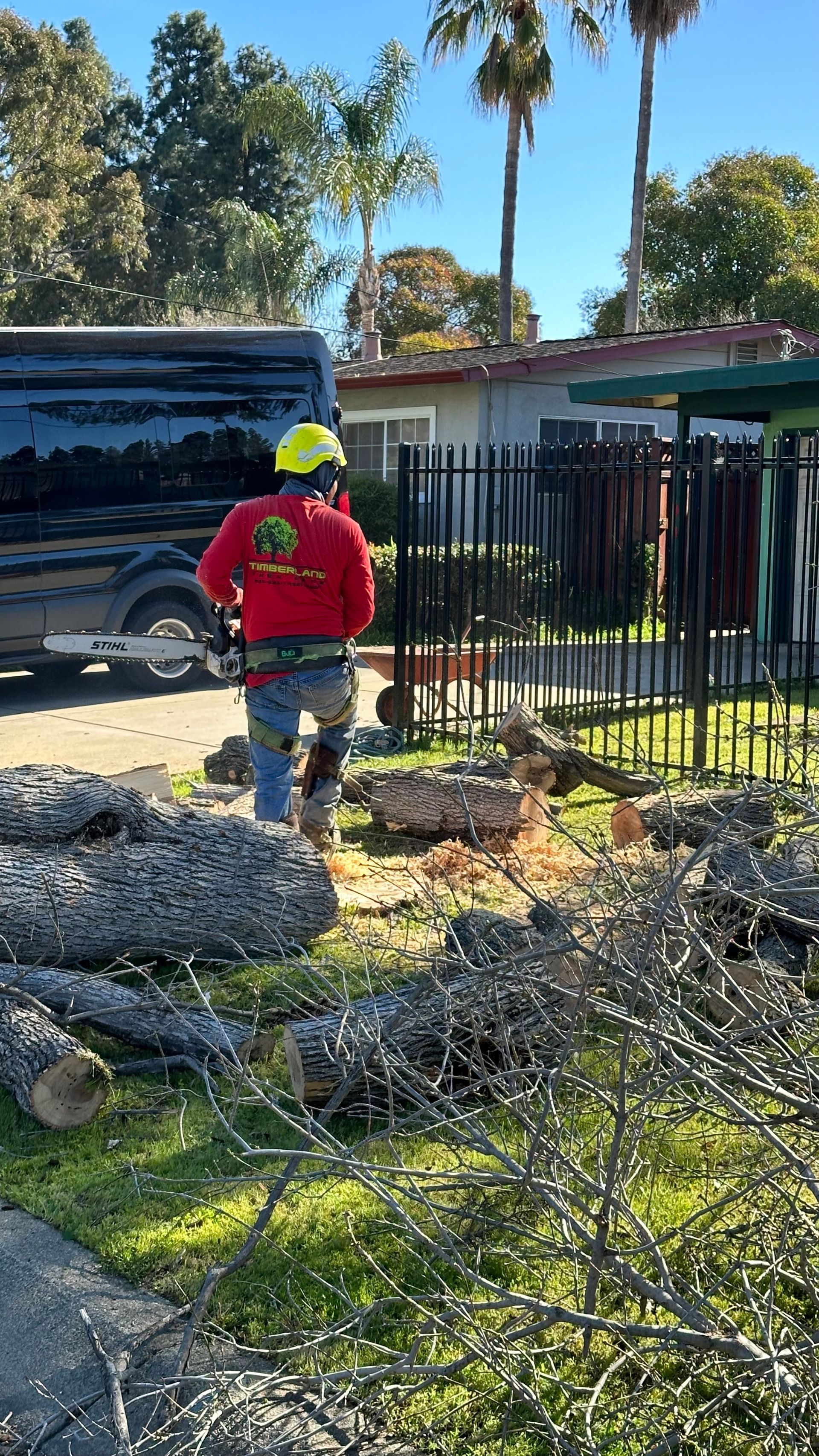 tree removal