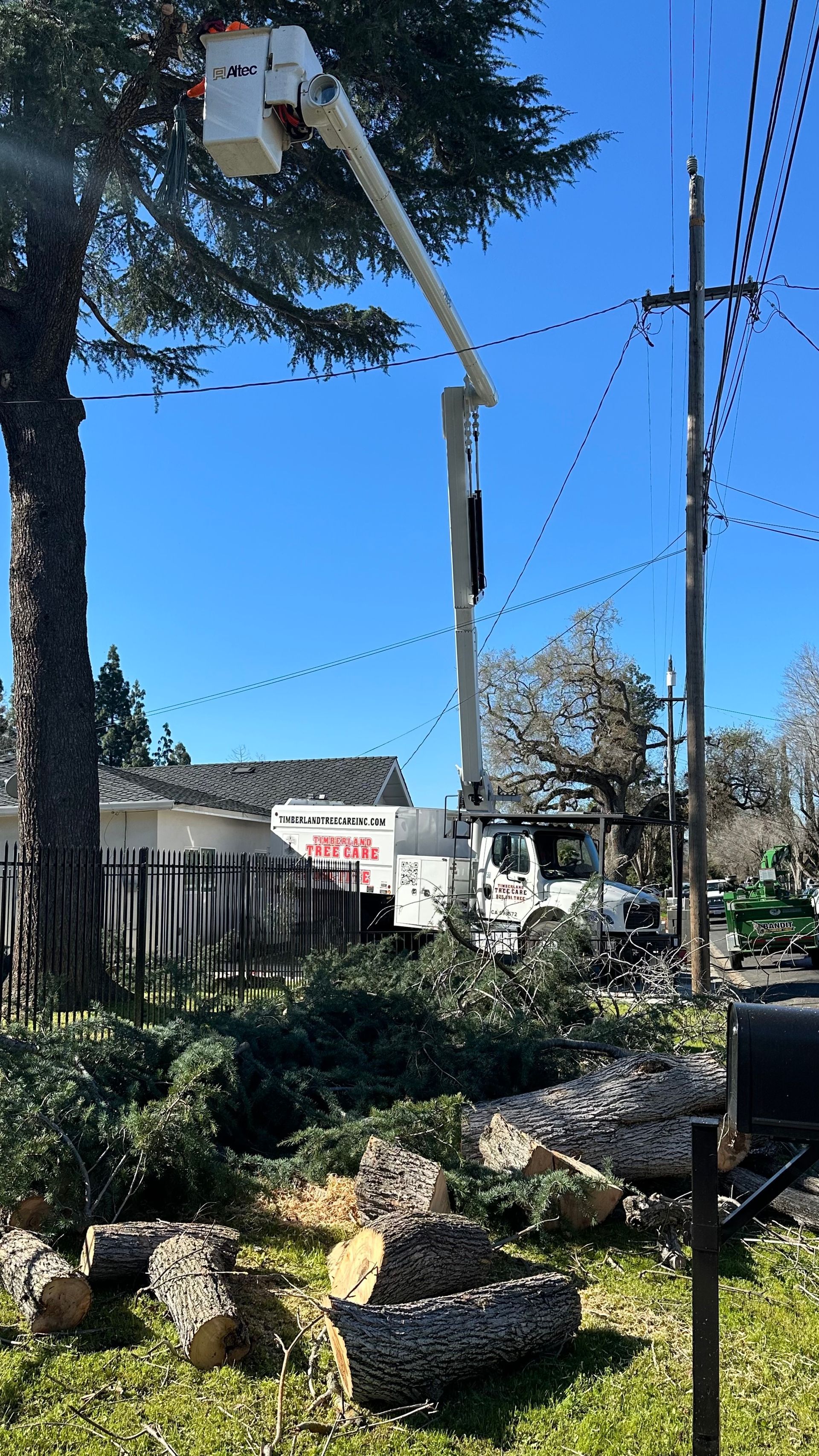 tree trimming and branch removal