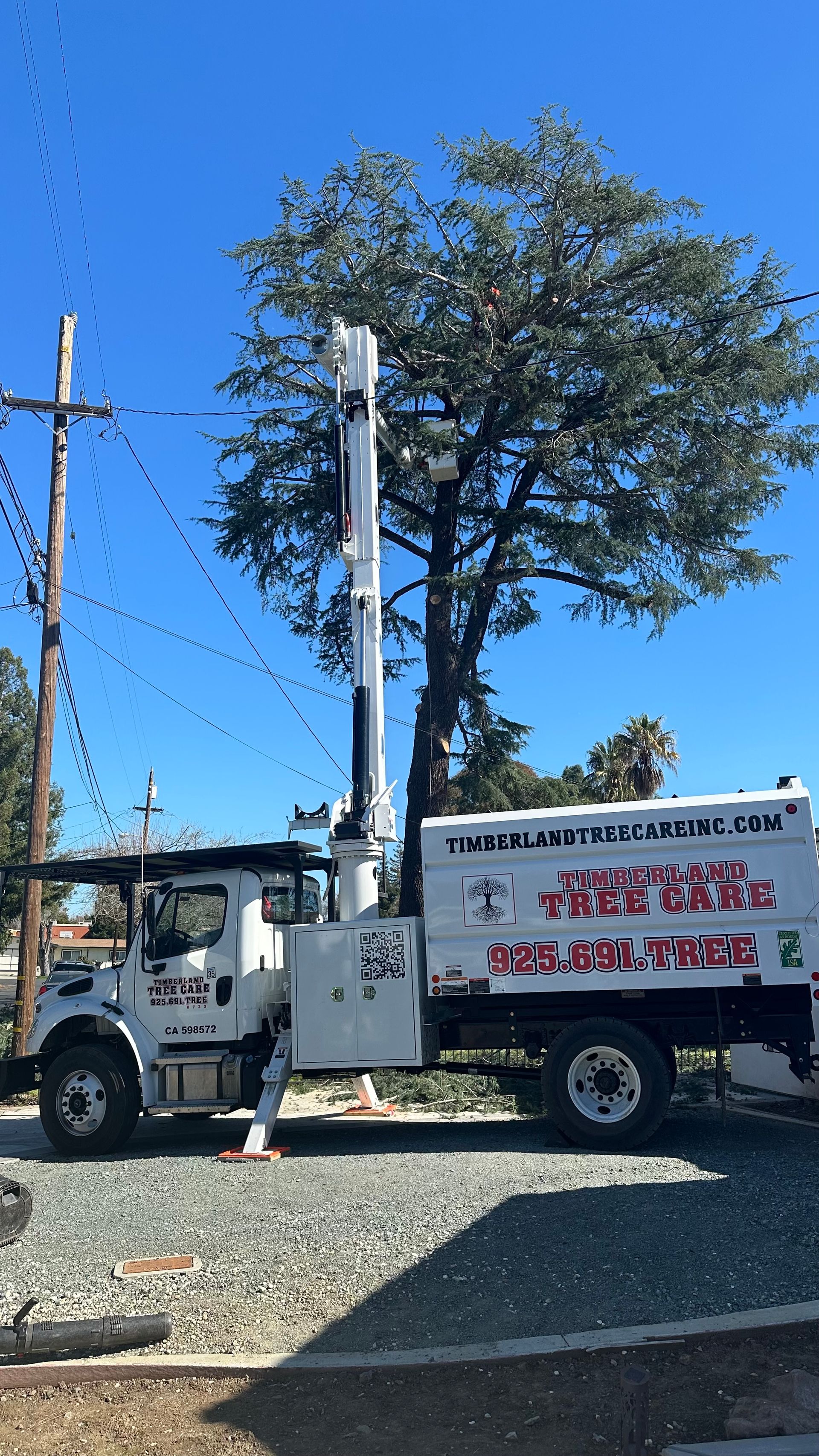 tree trimming boom truck