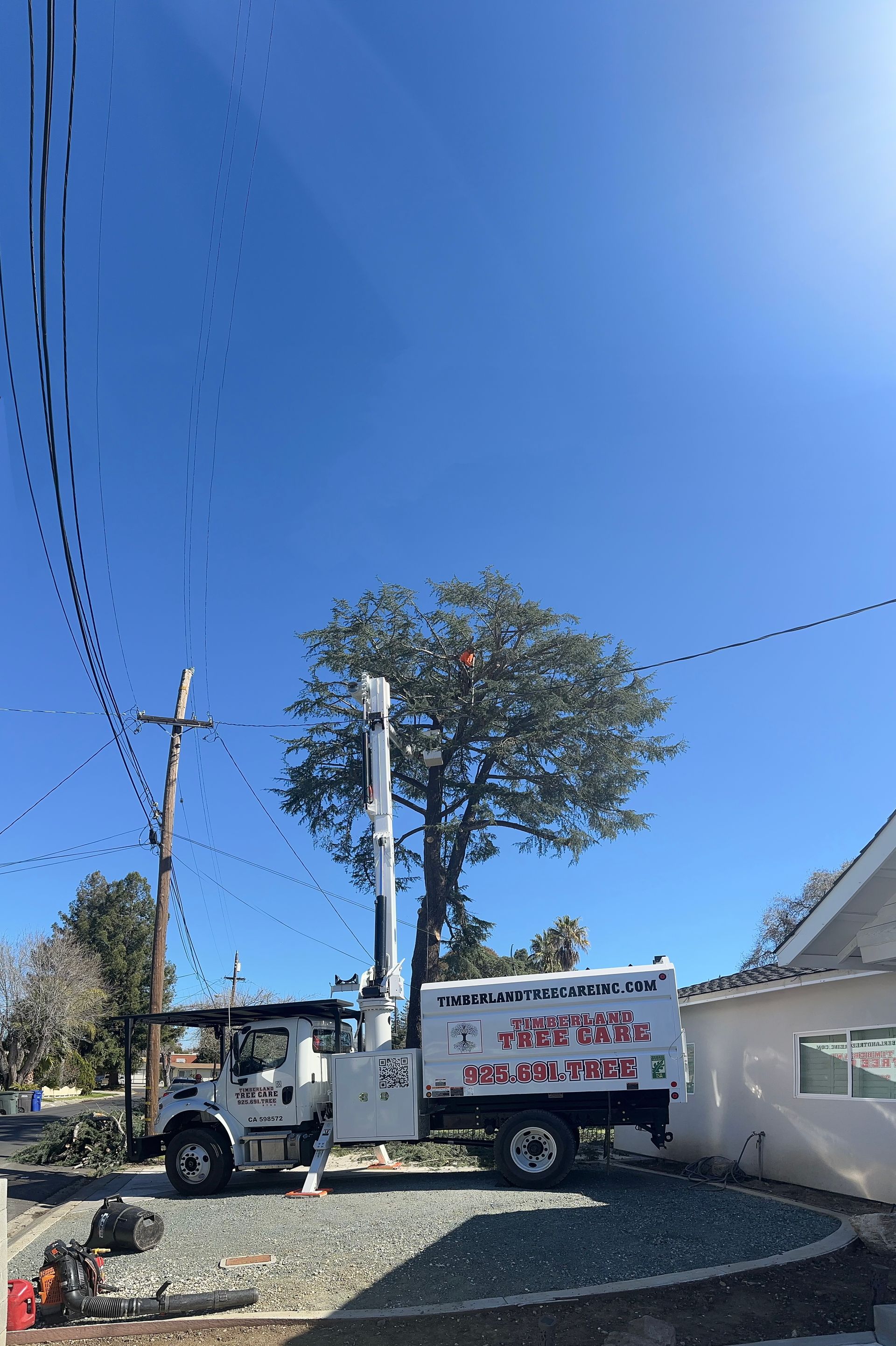 tree trimming from a boom truck