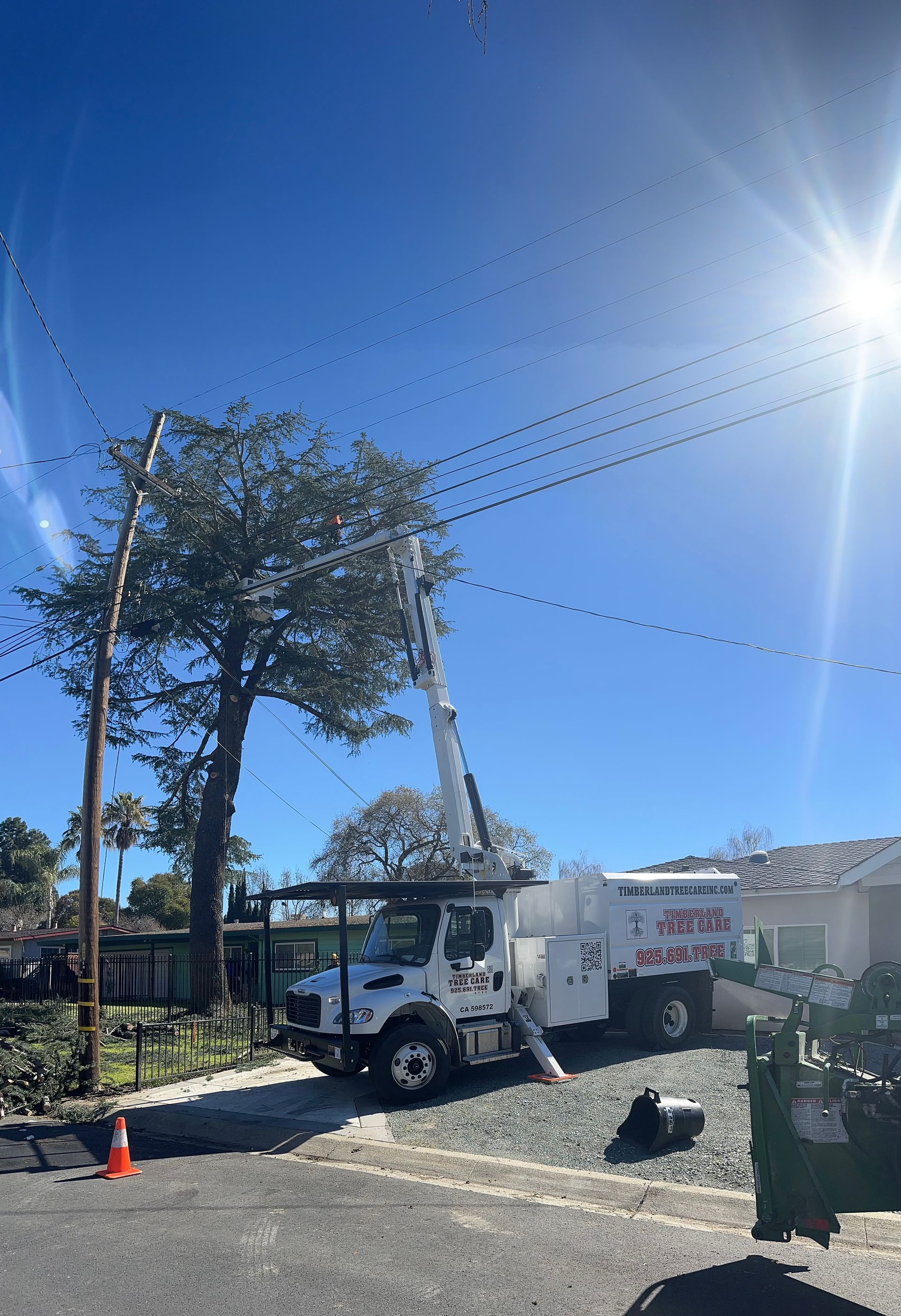 Branch removal using boom truck