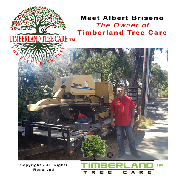 Picture of Timberland Tree Care Logo with the  owner Albert Briseno standing next to his stump grinder on a trailer