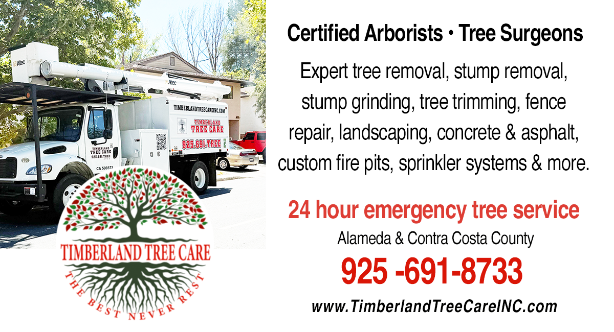 Timberland Tree Care logo