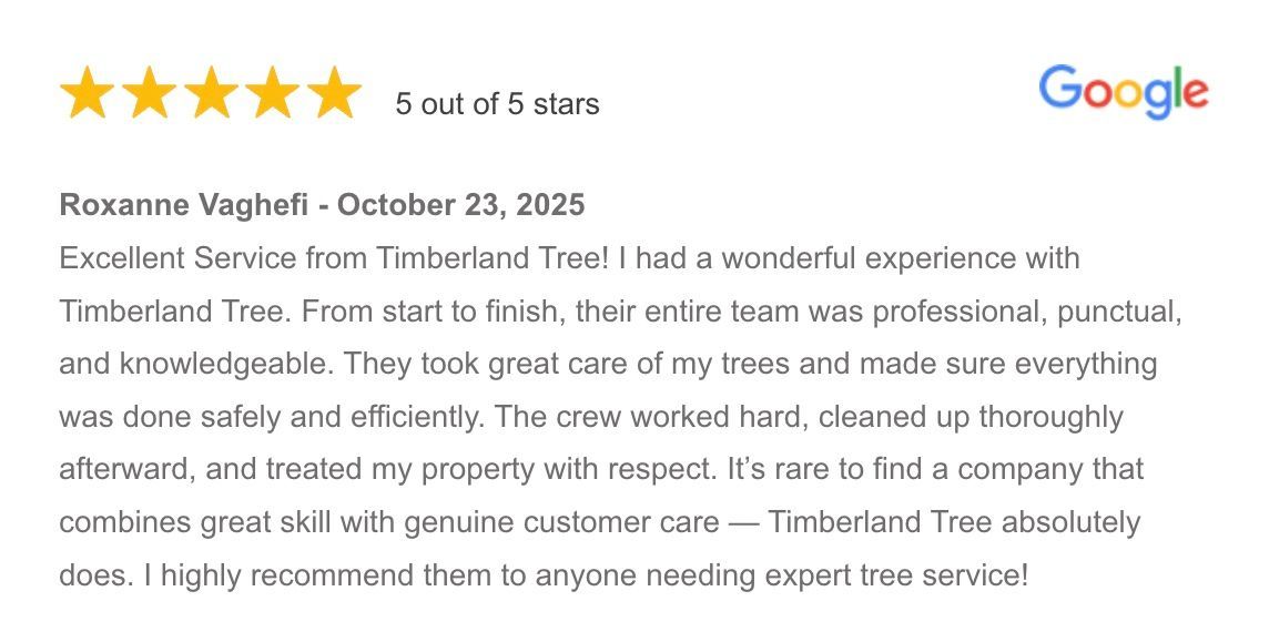Timberland Tree Care Google Review
