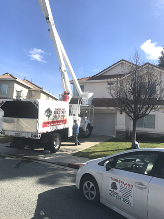 Timberland Tree Care Walnut Creek Boom truck and car in front of a customer's house