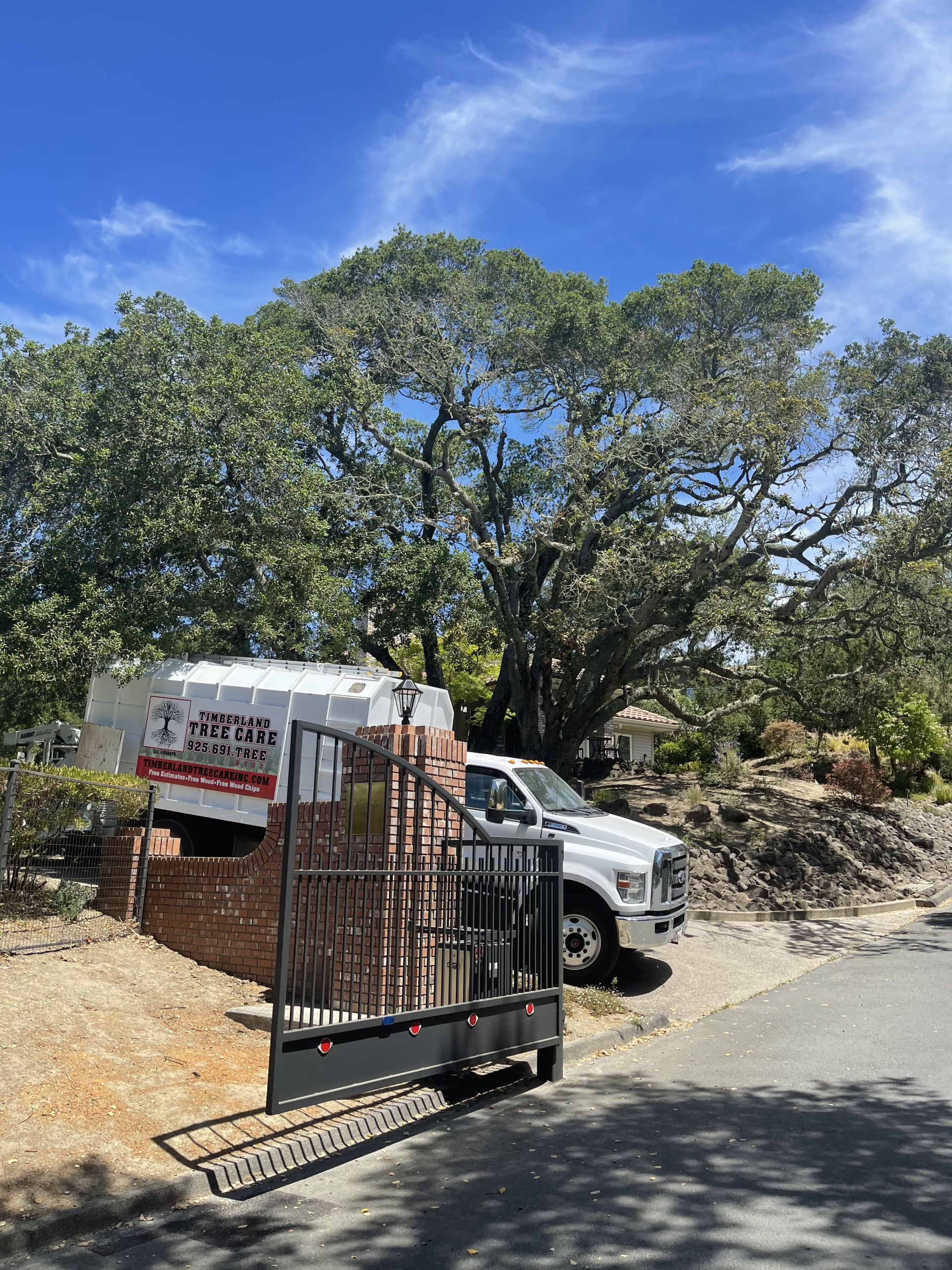 Timberland Tree Care truck