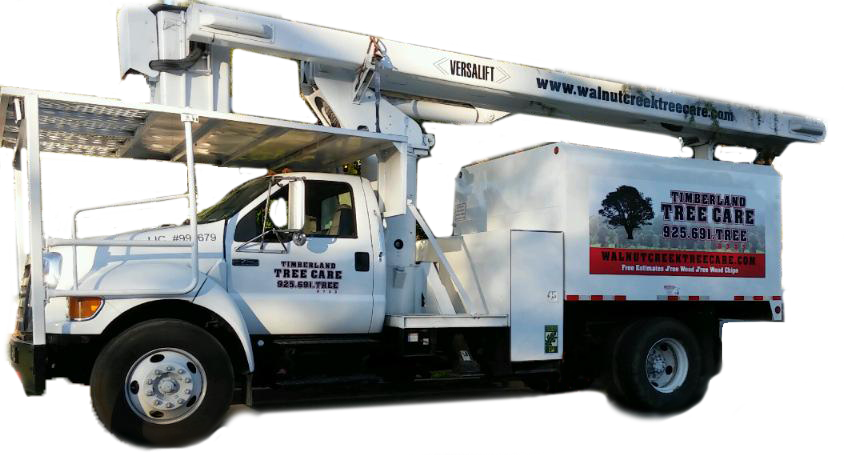 Timberland Tree Care Boom Truck