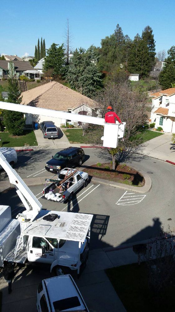 tree care boom truck
