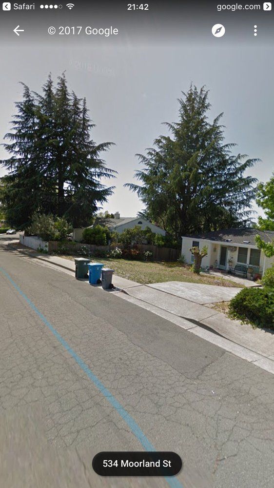 Timberland Tree Care trimmed these trees