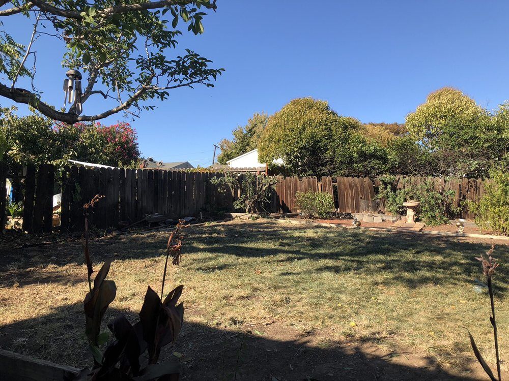 Timberland Tree Care trimmed trees in this yard