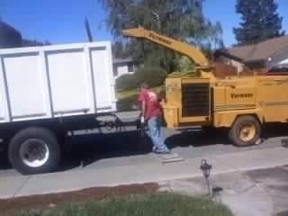 Timberland Tree Care  wood chipper