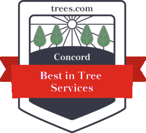 Timberland Tree Care award