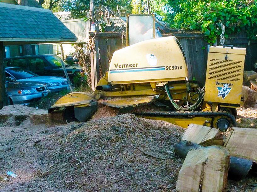 Timberland Tree Care grinding a stump